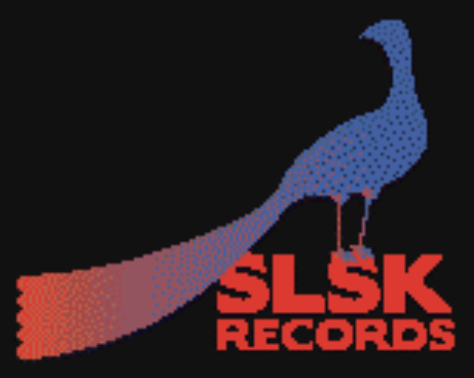 Spacestation Oncyber