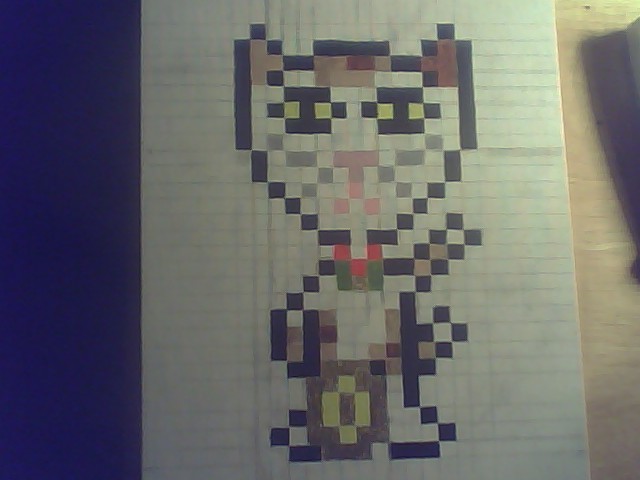 Calico in the studio